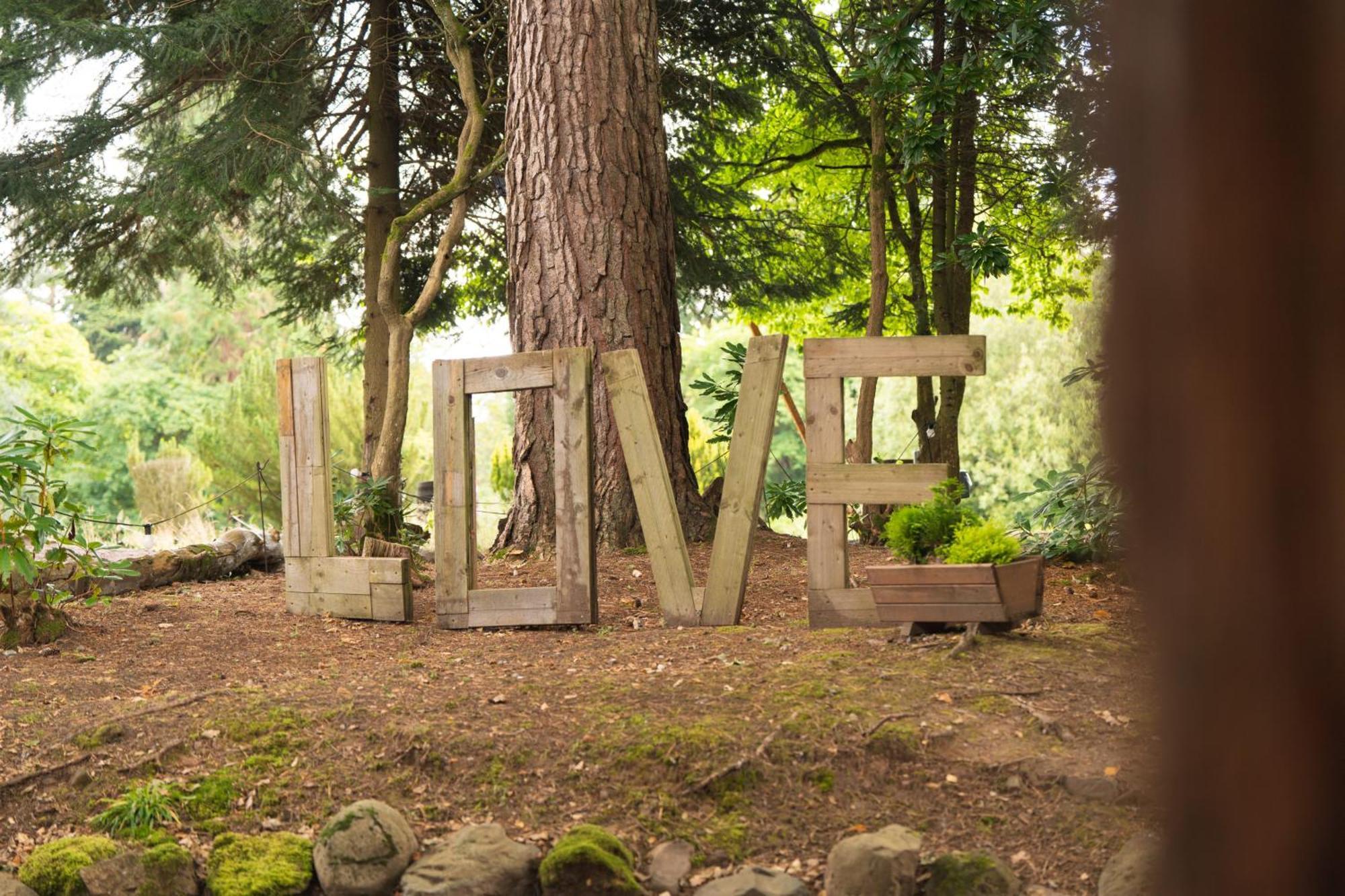 Luxury Woodland Lodge Retreat At Culdees Castle クリフ エクステリア 写真